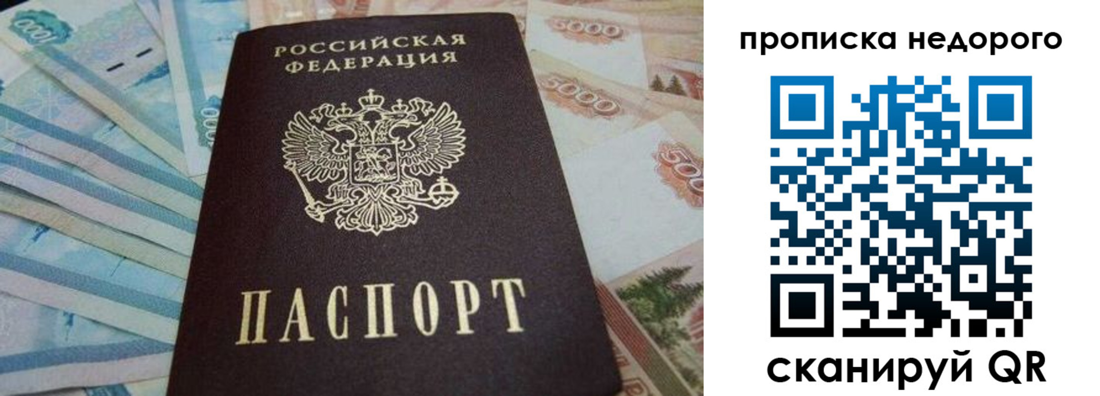 временная регистрация поиск в Гудермесе